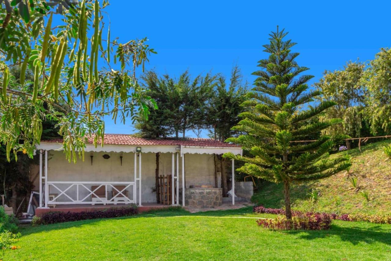 Pine View Stay Ooty Dış mekan fotoğraf